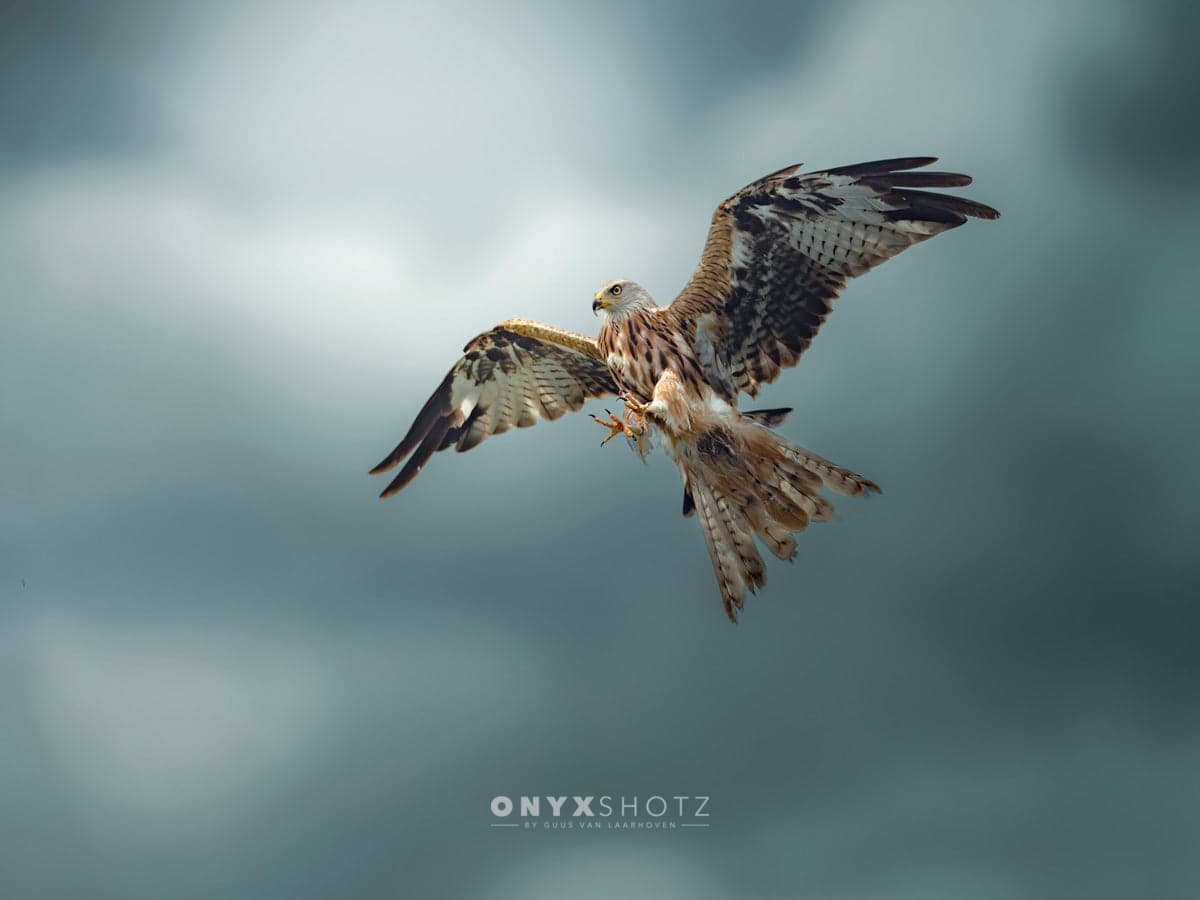 Skymaster