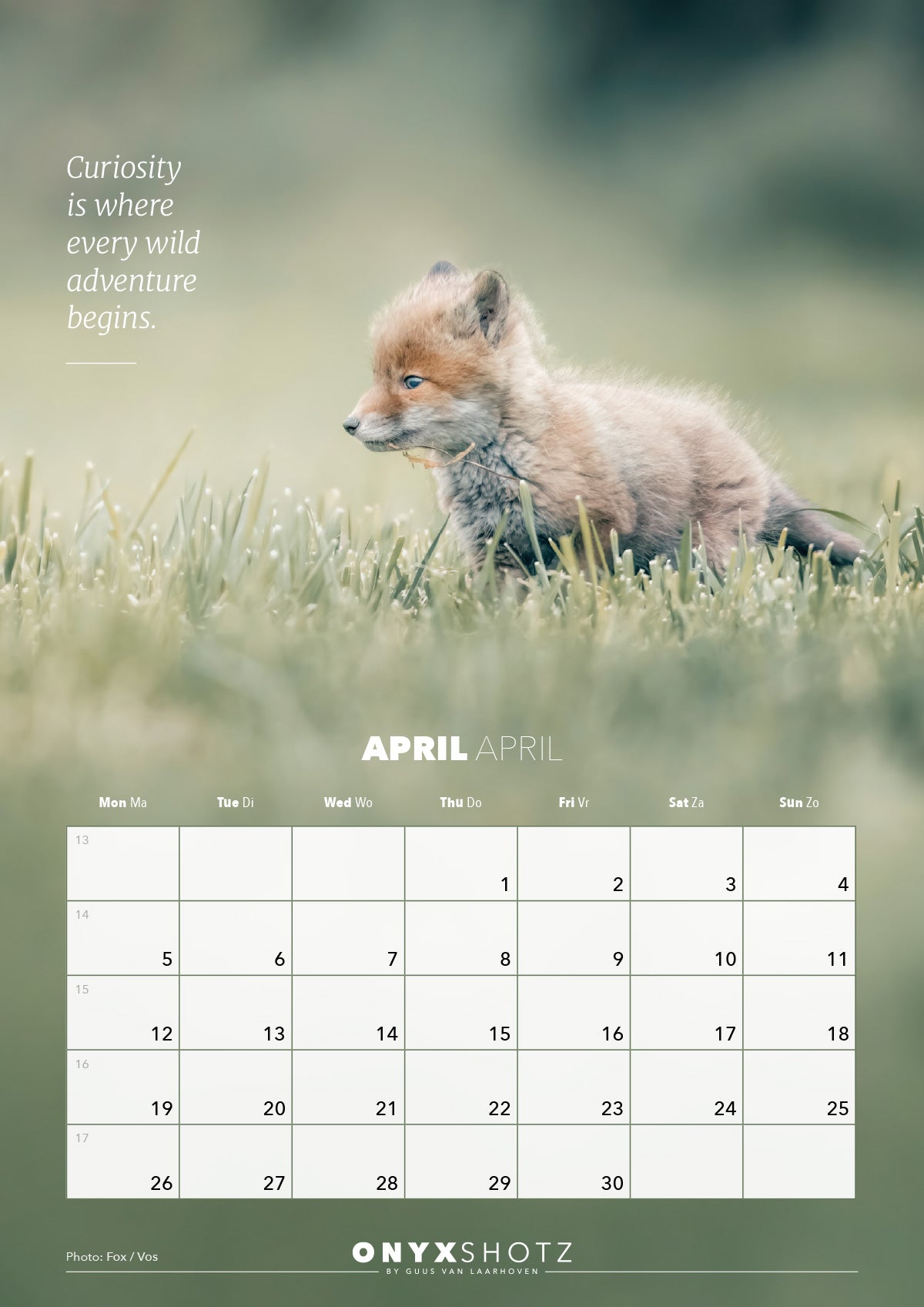 Wildlife Calendar 2027 | PRE-ORDER