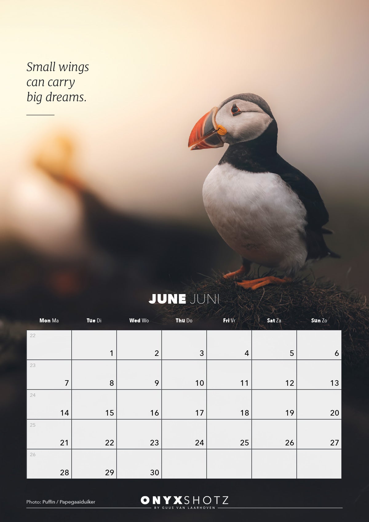 Wildlife Calendar 2027 | PRE-ORDER