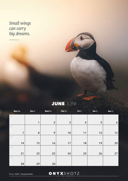 Wildlife Calendar 2027 | PRE-ORDER