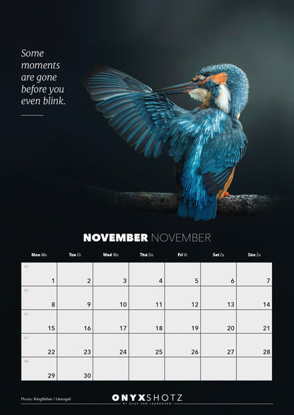 Wildlife Calendar 2027 | PRE-ORDER