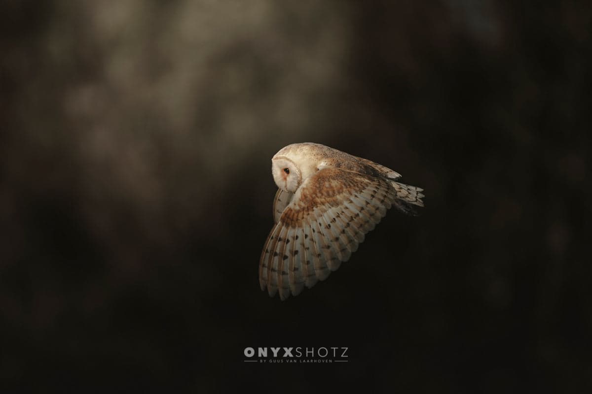 Silent Flight