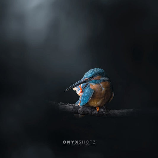 Azure Silence