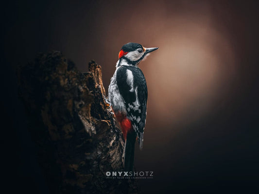 Wild Elegance