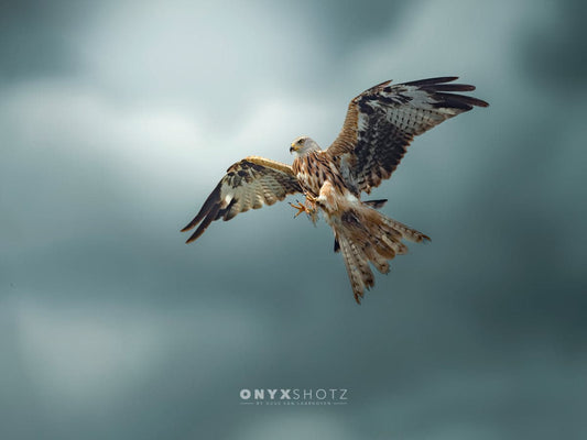 Skymaster