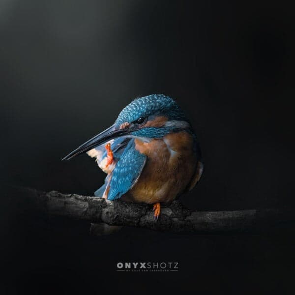 Azure Silence