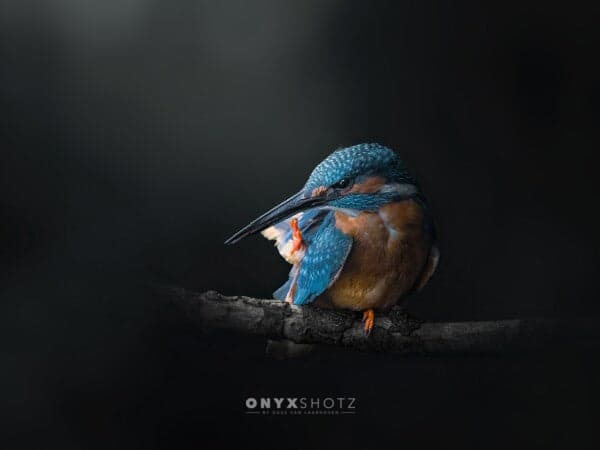 Azure Silence
