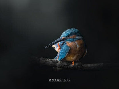 Azure Silence