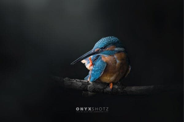 Azure Silence