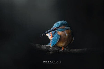 Azure Silence