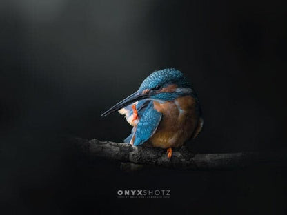 Azure Silence