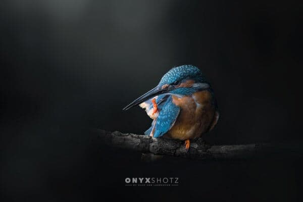 Azure Silence