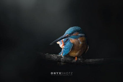 Azure Silence