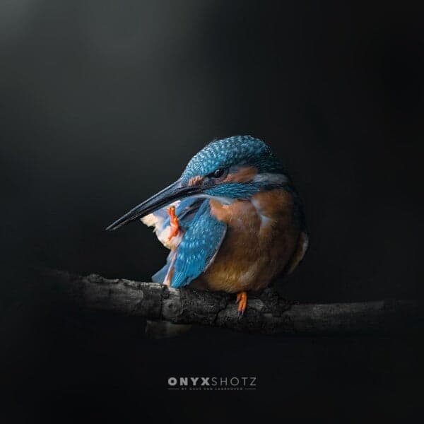 Azure Silence