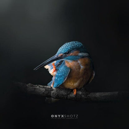 Azure Silence