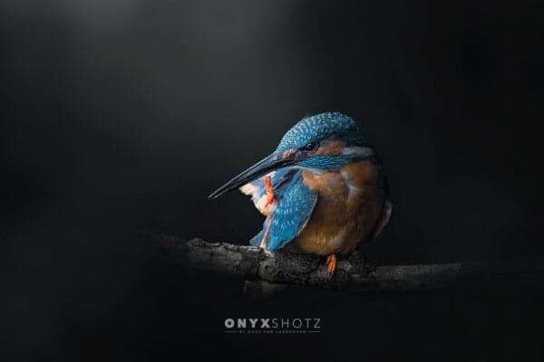 Azure Silence