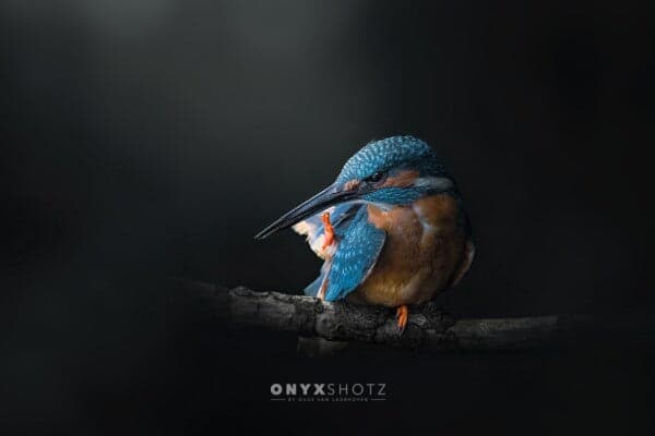 Azure Silence