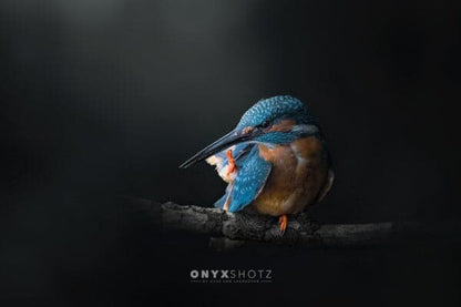 Azure Silence