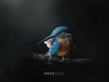 Azure Silence