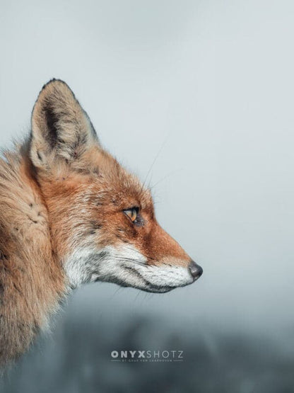 Feral Grace | Acrylglas op aluminium