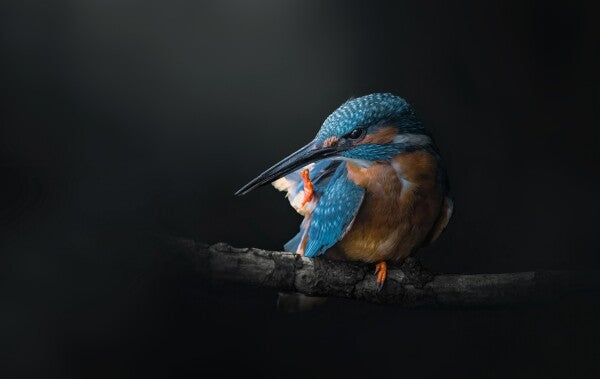 Foto in lijst "Azure Silence"