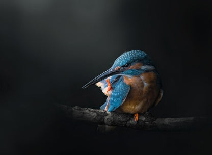 Foto in lijst "Azure Silence"