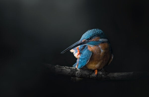 Foto in lijst "Azure Silence"