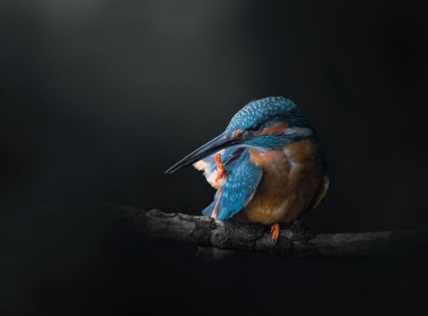 Foto in lijst "Azure Silence"