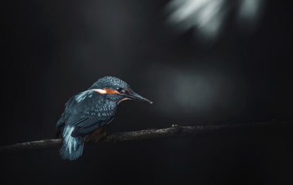 Foto in lijst "Into the Blue"