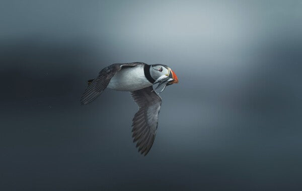 Foto in lijst "Infinite Blue"