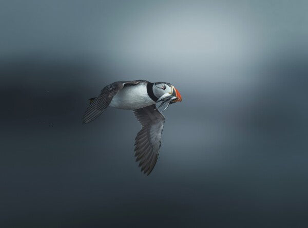 Foto in lijst "Infinite Blue"