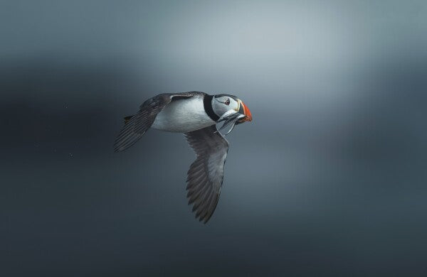 Foto in lijst "Infinite Blue"