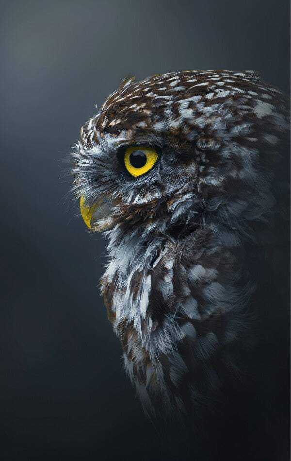 Foto in lijst "Golden Gaze"