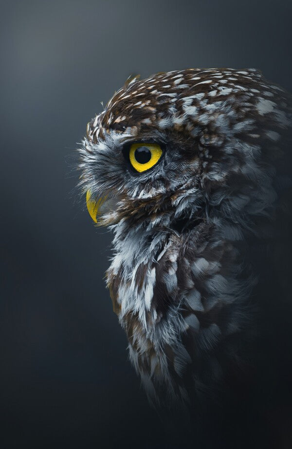 Foto in lijst "Golden Gaze"
