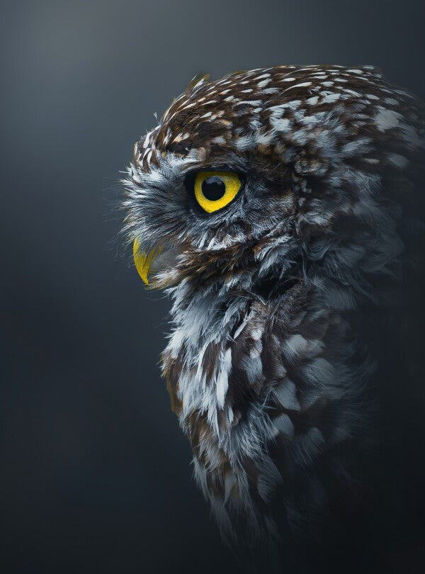 Foto in lijst "Golden Gaze"