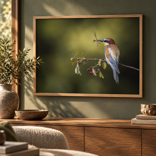 Foto in lijst "Colorful Catch"