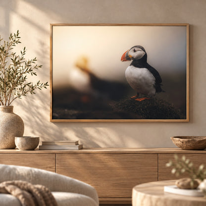 Framed print "Echoes of the North"