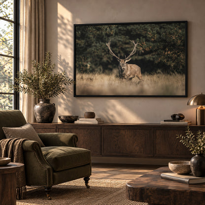 Framed print "Forest Sentinel"