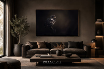 Silent Watcher | Acrylglas op aluminium