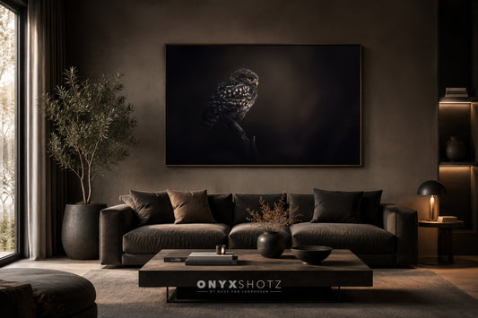 Silent Watcher | Acrylglas op aluminium