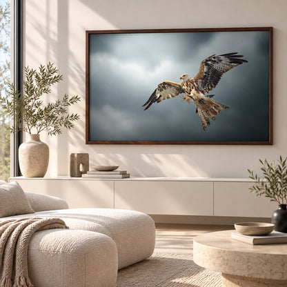 Framed print "Skymaster"